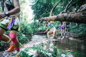 BIB: 
                            <button type="button" onclick="openModal(25437964)" class="btn btn-primary btn-sm float-right btn-popup" data-toggle="modal" data-target=".modal-high-quality">
                        <i class="fas fa-shopping-cart"></i> Add to Cart
                    </button>
                                            <button type="button" onclick="isThisMe(25437964, true)" class="btn btn-success btn-sm float-right btn-popup btn-isme hidden" data-toggle="tooltip" data-placement="bottom" title="นี่คือรูปของคุณใช่ไหม คลิกที่นี่เพื่อเอาเข้าอัลบั้ม">
                        <i class="fas fa-plus"></i> Add to album
                    </button>
                    <button type="button" onclick="isThisMe(25437964, false)" class="btn btn-warning btn-sm float-right btn-popup btn-isnotme hidden">
                        <i class="fas fa-ban"></i> Remove from album
                    </button>